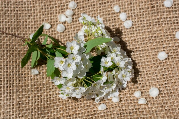 写真 麻布 の キャンバス に 見 られる 花 の 花びら