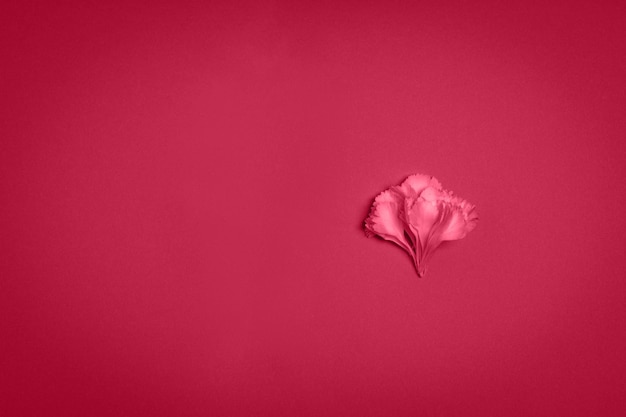 Foto petali di fiori su sfondo rosso concetto di minimalismo colore di sfondo naturale dell'anno 2023