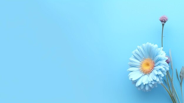 Flower placed on a uniform background