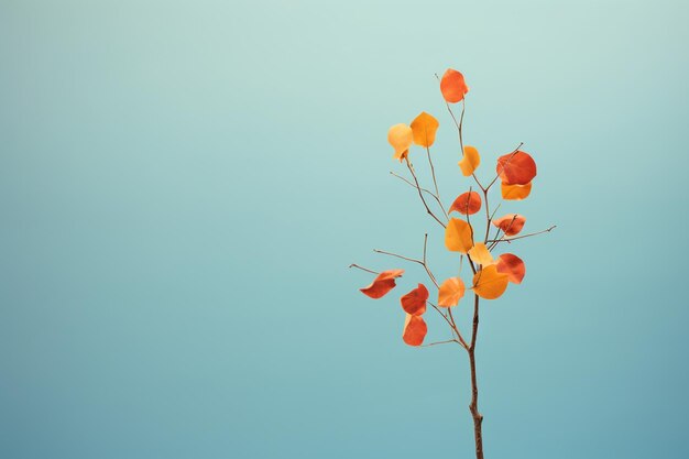 Foto pianta da fiore sfondo minimalista colorato