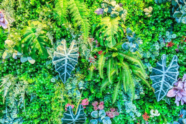 Flower plant wall