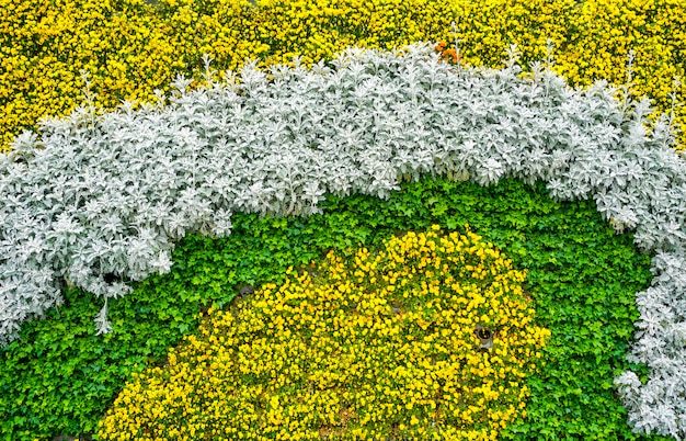 花の植物の壁