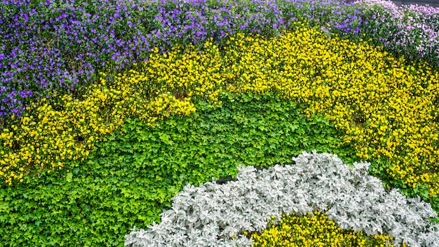 花の植物の壁