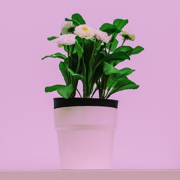 Flower plastik decor. Minimal Home decor concept