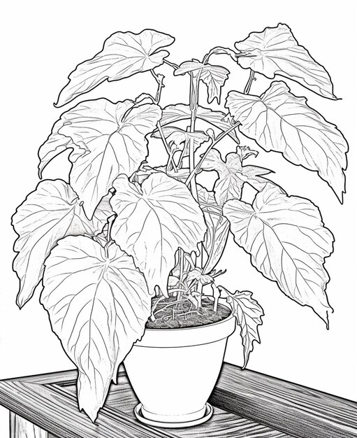 Photo a flower poet coloring page line art for kids