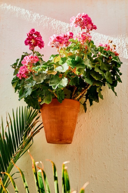 Foto vaso di fiori appeso a una parete