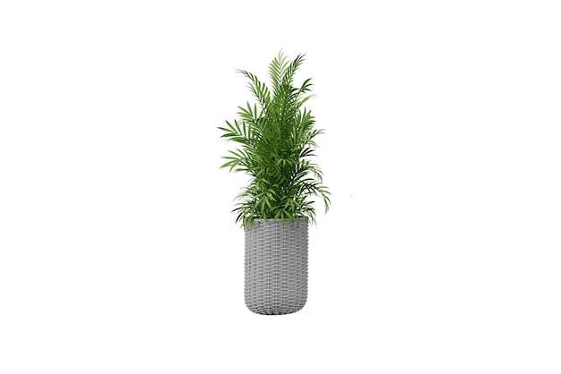 flower in pot isolated on white 3d render