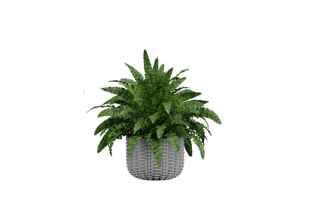 3Dレンダーの白い写真に描かれた鉢の花