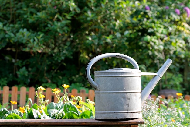 Photo flower pot on plants in yard