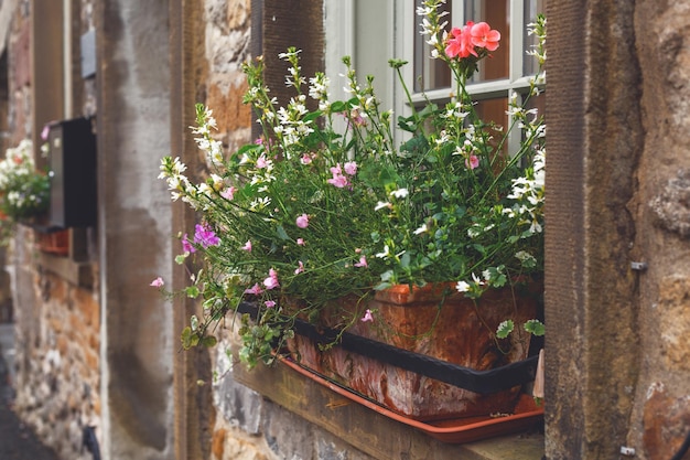 Flower pot on the wall of the house outside