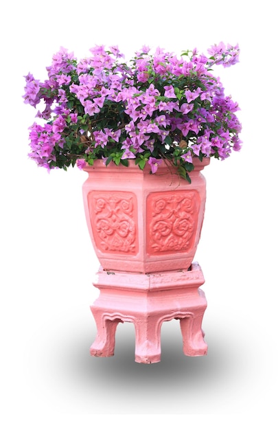 flower pot on white background