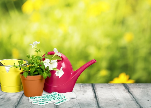 花と木製の背景に園芸用品と植木鉢