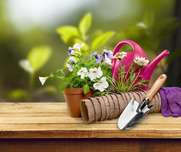 Flower Pot with flowers and gardening utensils on background