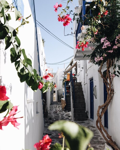 Foto vasi di fiori su un edificio contro il cielo