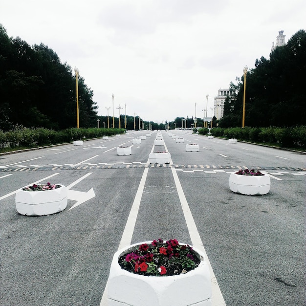 Foto vasi di fiori sulla strada vuota lungo gli alberi