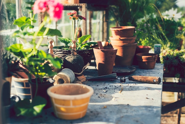 Flower pots and interiors of a greenhouse