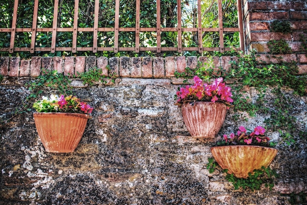 Flower pots in San Gimignano Italy