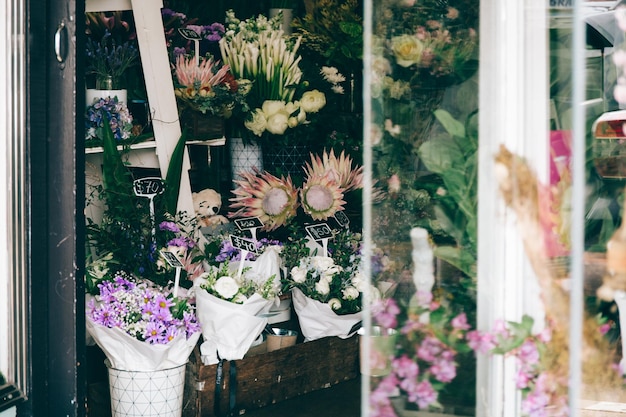 Flower pots on window at store