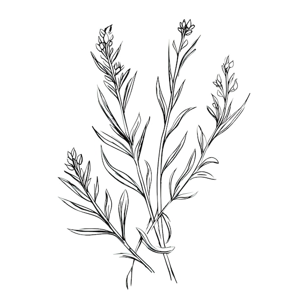 Flower Provencal herb ai generated