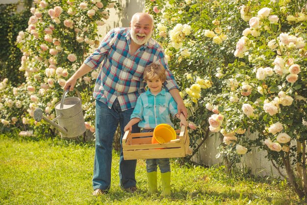 Flower rose care and watering Grandfather with grandson gardening together Gardener cutting flowers