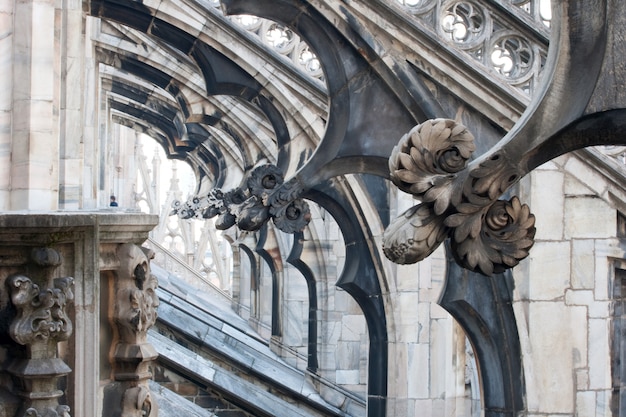 Flower sculptures, Milan cathedral