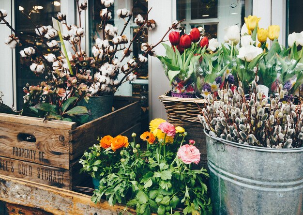 写真 ストリートマーケットの花屋 - 春のプッシーウィロウ,綿の枝,カラフルな花の背景