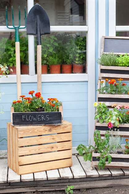 flower shop interior veranda house with summer decor wooden porch of house with green plants