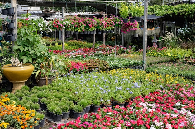 사진 방콕, 태국에서 화려한 화분으로 야외 꽃집