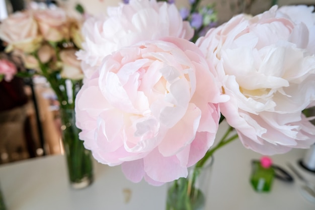 Flower shop with holiday beautiful flowers. Large peonies for bouquet close-up. 