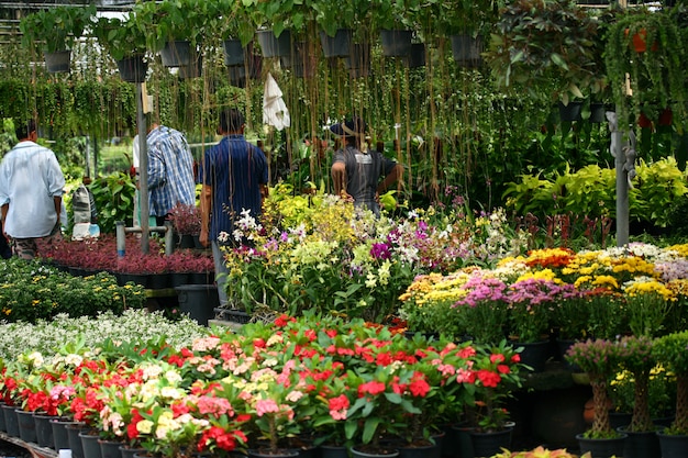 Flower shop