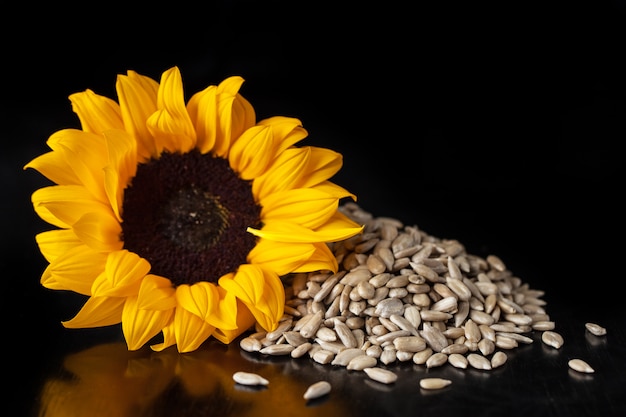 Un fiore di un girasole e semi di girasole sbucciati.