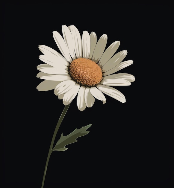 A flower that is on a black background