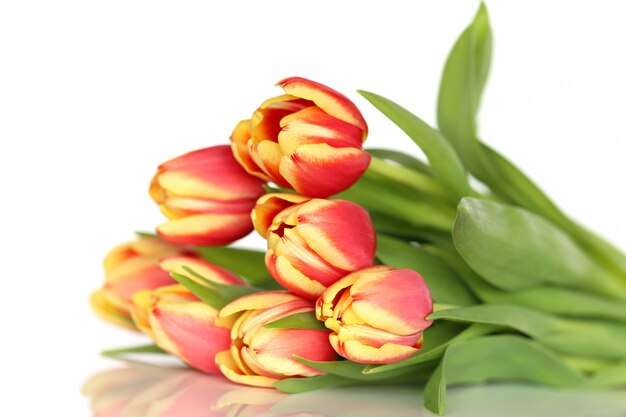 Flower Tulip. bouquet of yellow red striped tulips