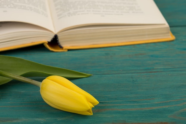 Flower tulip cup and book