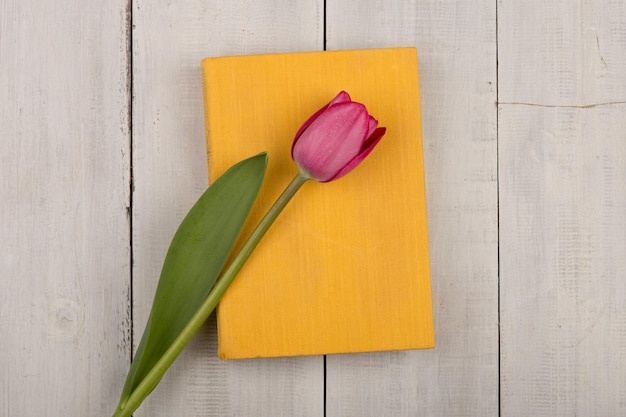 Flower tulip and yellow book on a white wooden table