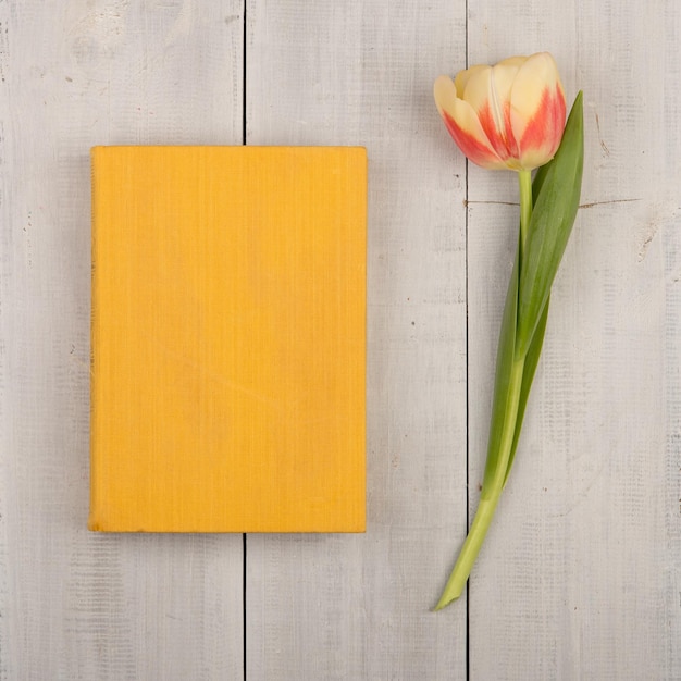 Flower tulip and yellow book on a white wooden table