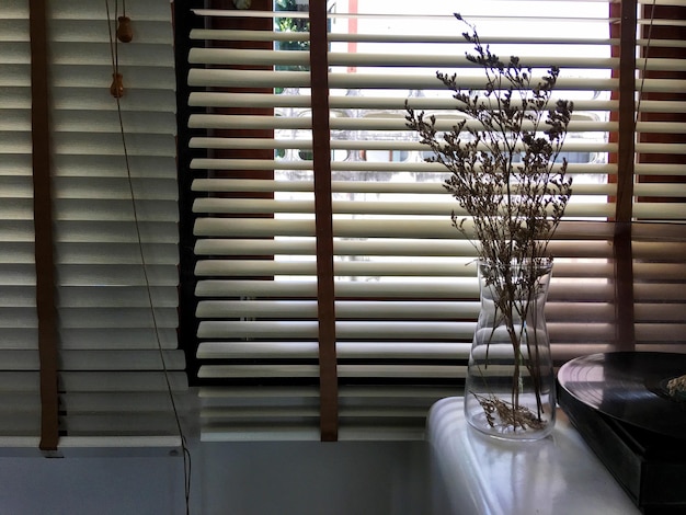 Photo flower vase by window blinds at home