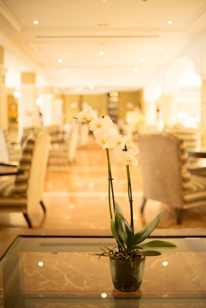 Photo flower vase on table in illuminated room