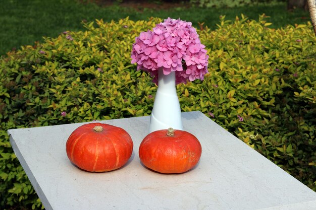 Flower in vase and two pampkin in the table