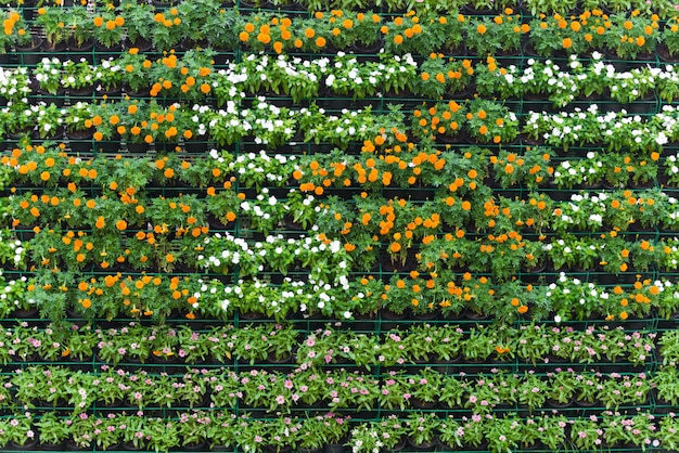 Flower wall vertical garden