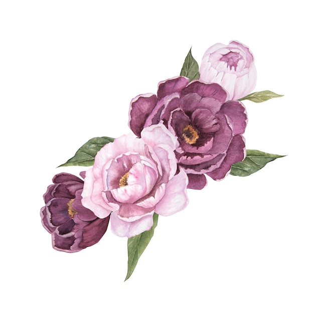 Flower watercolor illustration of peonies isolated bouquet of flowers