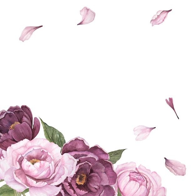 Цветочная акварельная иллюстрация пионов и лепестков изолированный букет цветов угловая рамка
