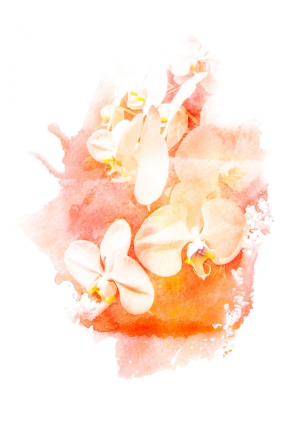 Flower watercolor illustration.