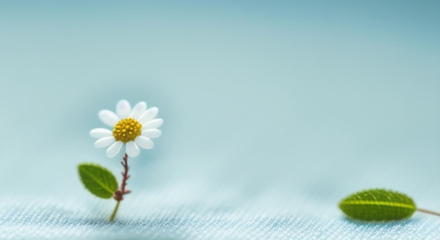 flower in white fabric