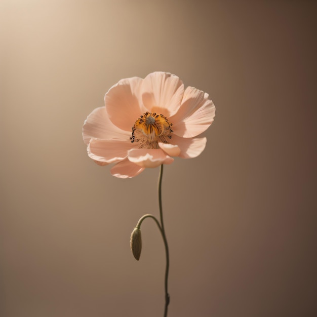 a flower with a bug on it is in a dark room.