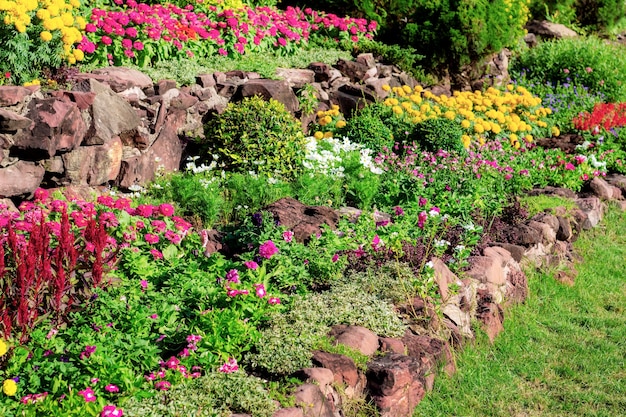 Flower with decoration in garden.