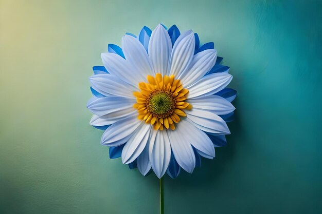 A flower with a green center and a blue and white background