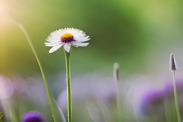 a flower with a yellow center and a blurry background