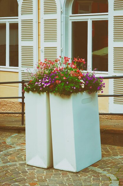 Flowerbed in the city center of Baden-Baden in Baden-Wurttemberg, in Germany. Baden Baden is a spa town.