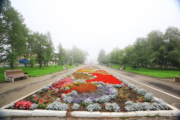 花壇の花都市公園/風景の中の美しい活気に満ちた都市の花、都市デザイン